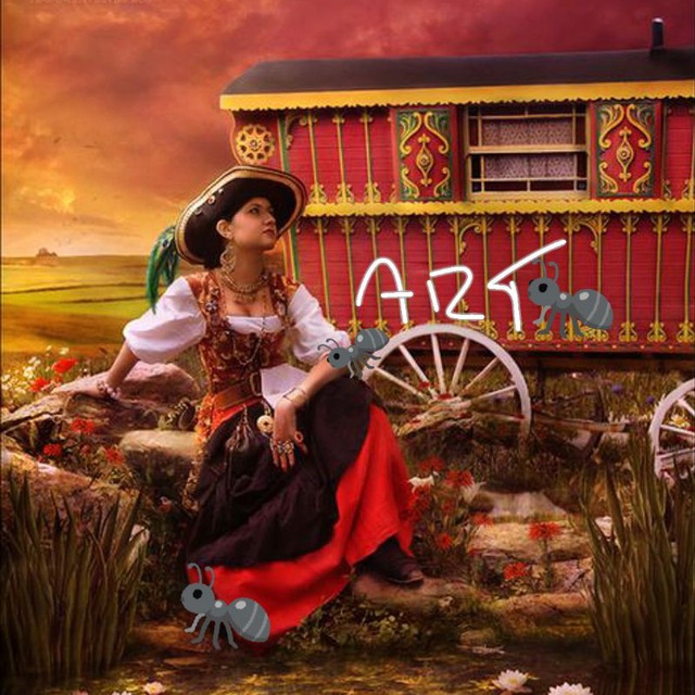 gypsy caravan gypsy caravan